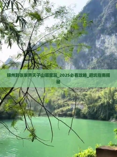 锦州到张家界天子山哪里玩