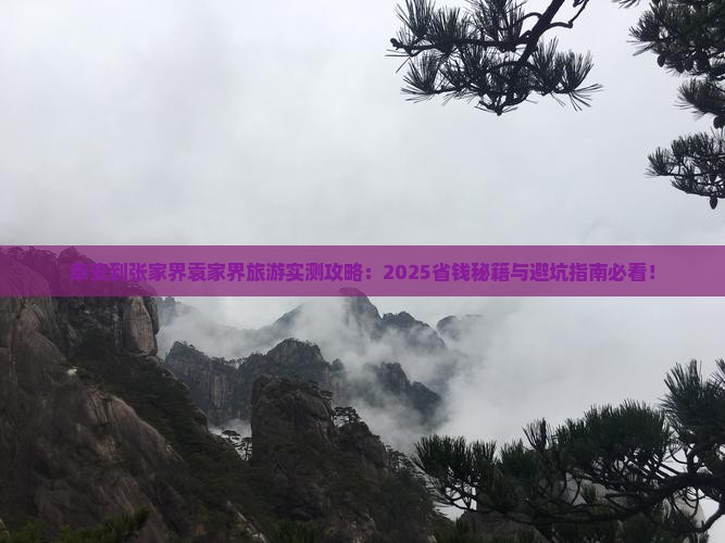 泰安到张家界袁家界旅游