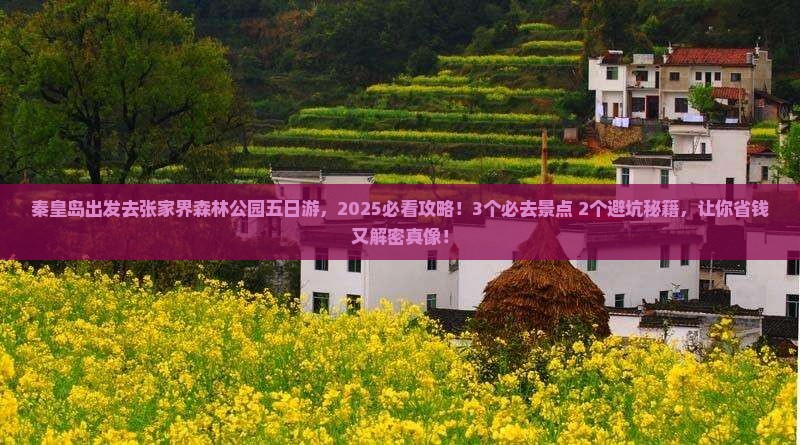 秦皇岛去张家界森林公园五日游