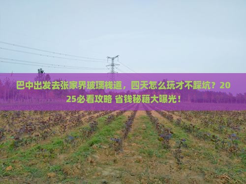 巴中去张家界玻璃栈道四日游