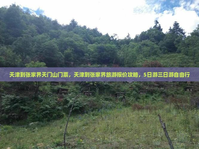 天津到张家界天门山门票