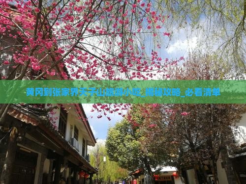 黄冈到张家界天子山旅游小吃