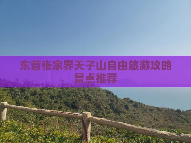 东营到张家界天子山自由行