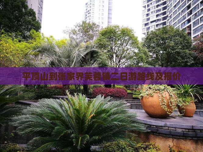 平顶山到张家界芙蓉镇二日游