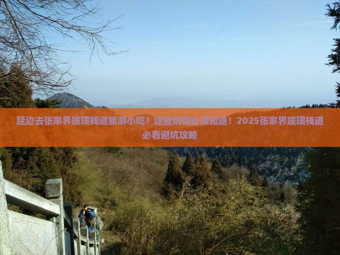 延边去张家界玻璃栈道旅游小吃