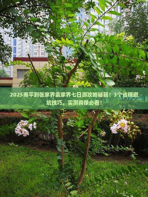 南平到张家界袁家界七日游