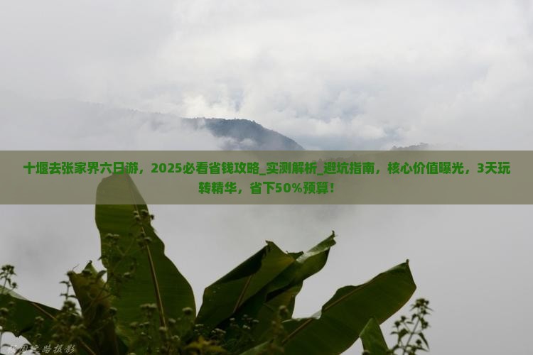 十堰去张家界六日游