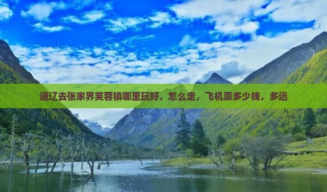 通辽去张家界芙蓉镇哪里玩