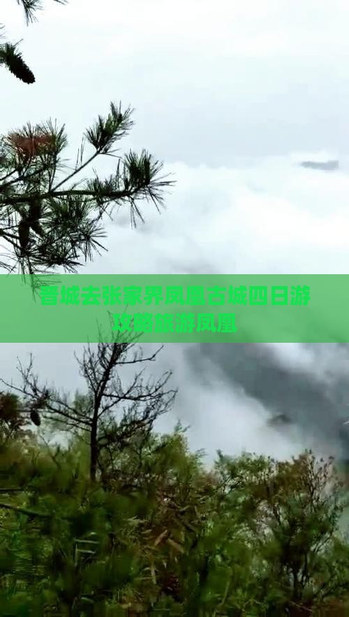 晋城去张家界凤凰古城四日游