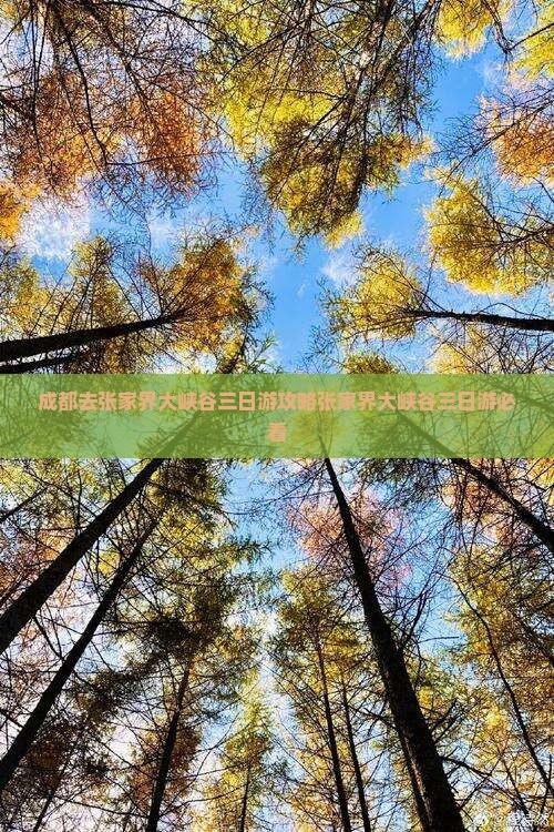 成都去张家界大峡谷三日游