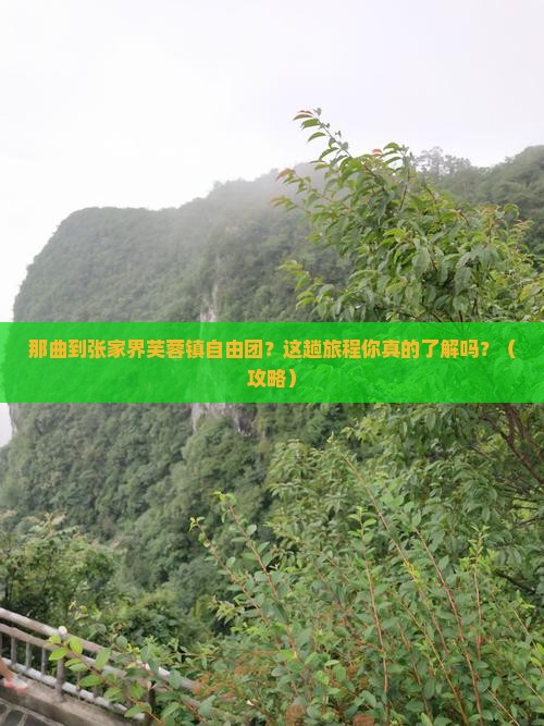 那曲到张家界芙蓉镇自由团