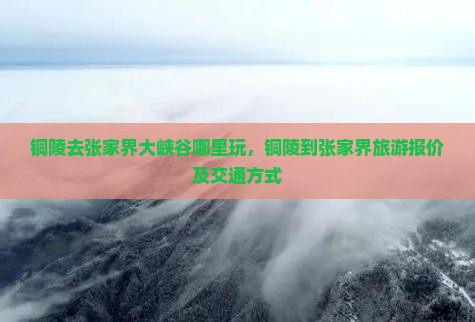 铜陵去张家界大峡谷哪里玩