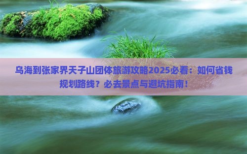 乌海到张家界天子山团体旅游