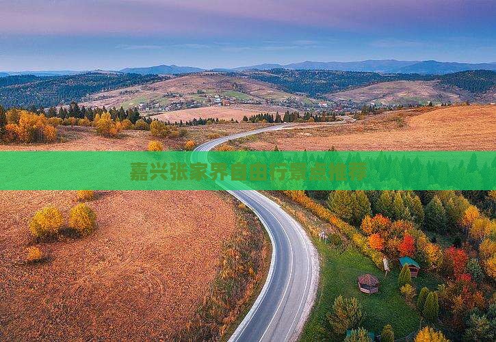 嘉兴去张家界自由团