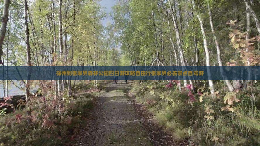 徐州到张家界森林公园四日游