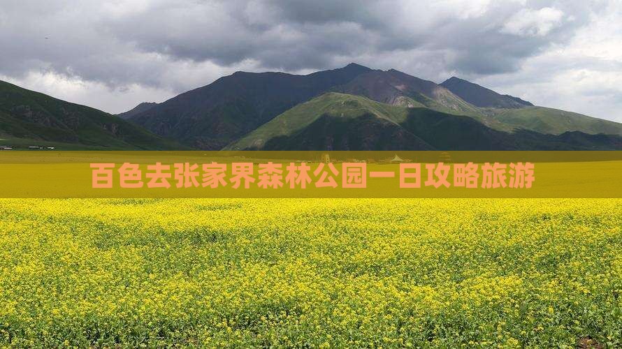 百色去张家界森林公园一日