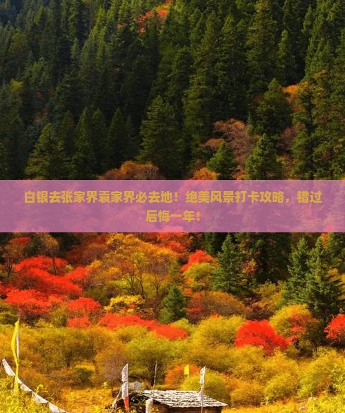 白银去张家界袁家界必去地