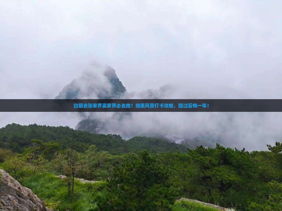 白银去张家界袁家界必去地