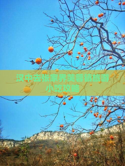 汉中去张家界芙蓉镇旅游小吃