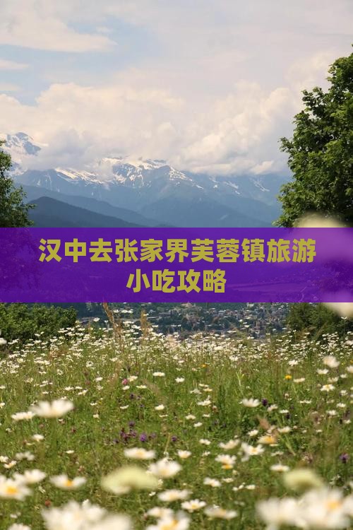 汉中去张家界芙蓉镇旅游小吃