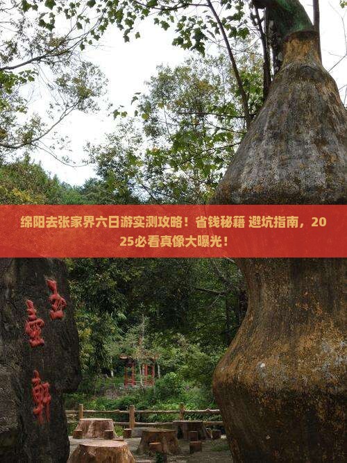 绵阳去张家界六日游