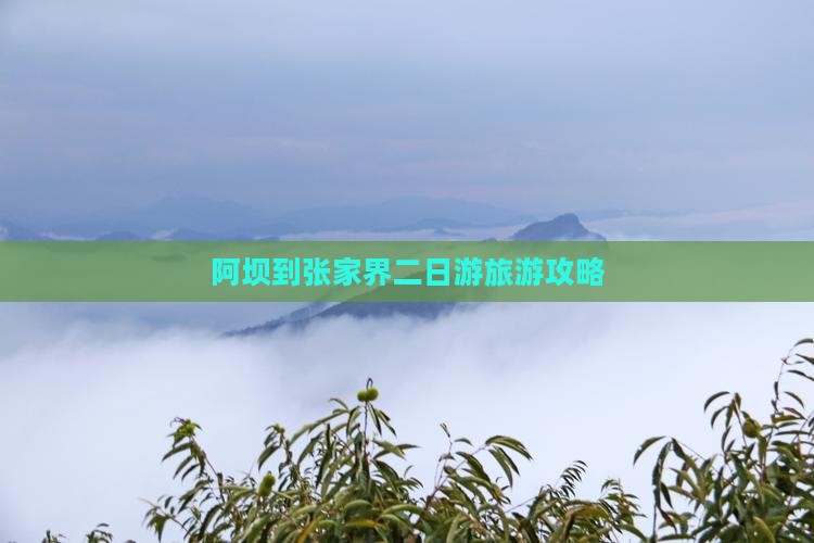 阿坝去张家界二日游