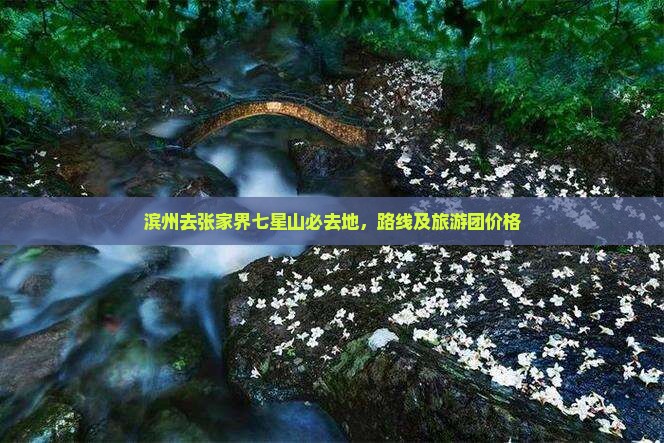 滨州去张家界七星山必去地