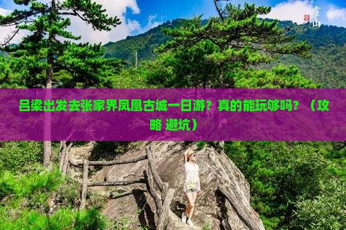 吕梁去张家界凤凰古城一日