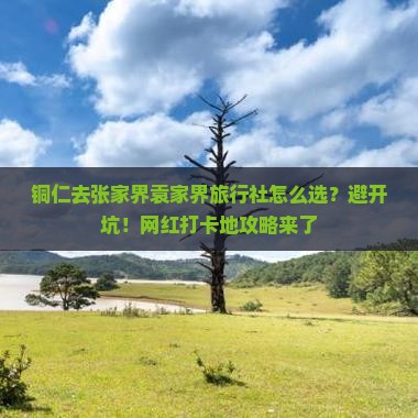 铜仁去张家界袁家界旅行社