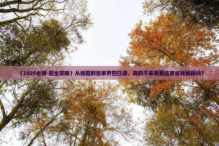 绵阳到张家界四日游