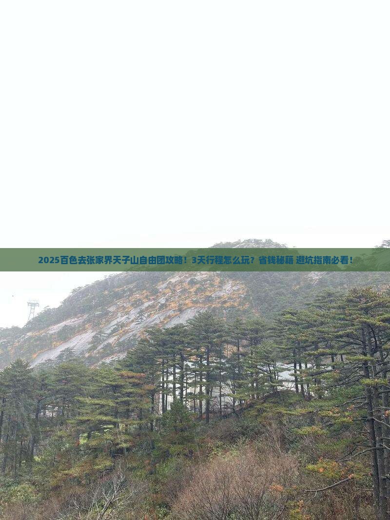 百色去张家界天子山自由团