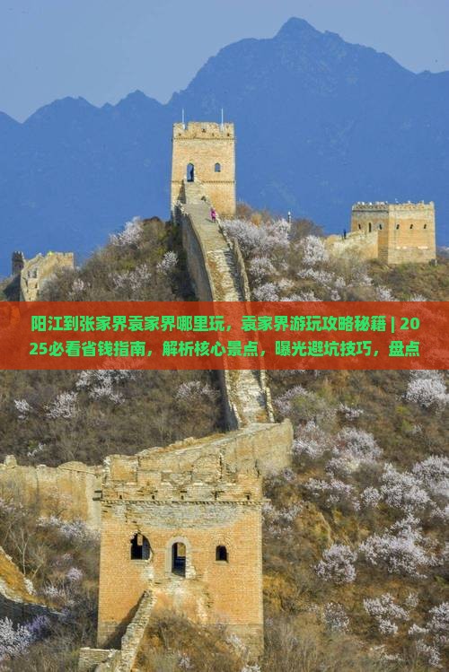 阳江到张家界袁家界哪里玩