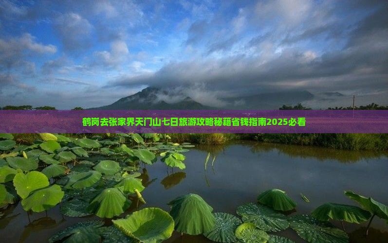 鹤岗去张家界天门山七日游