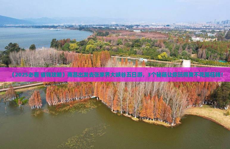 南昌去张家界大峡谷五日游