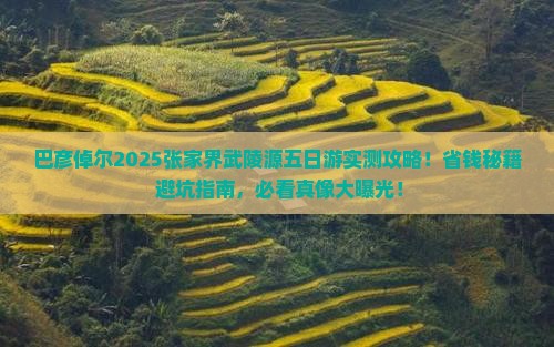 巴彦倬尔去张家界武陵源五日游