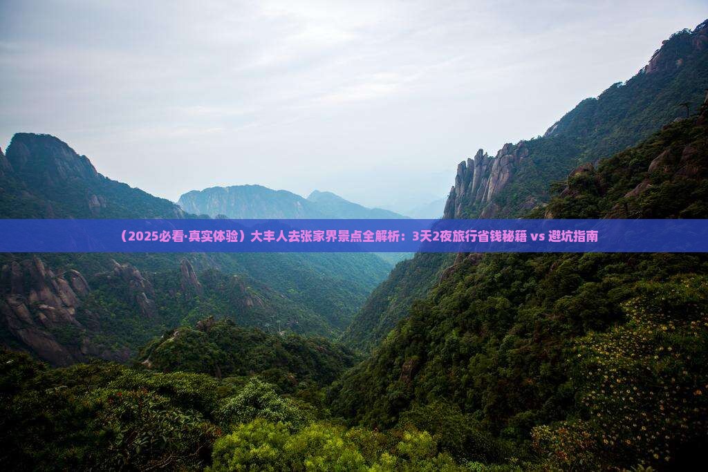 大丰去张家界景点