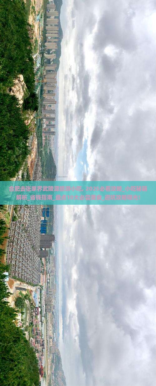 合肥去张家界武陵源旅游小吃