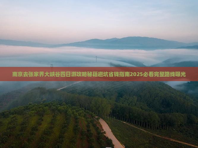 南京去张家界大峡谷四日游