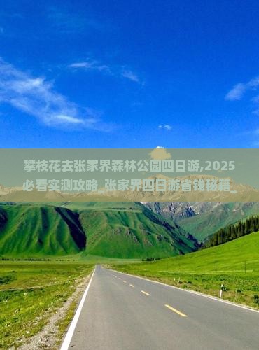 攀枝花去张家界森林公园四日游