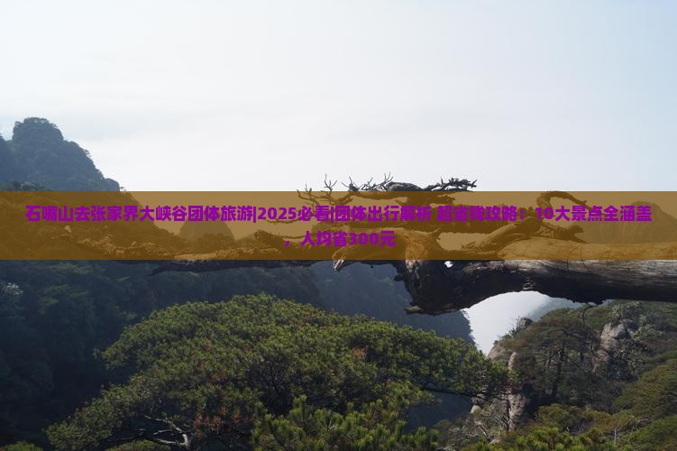 石嘴山去张家界大峡谷团体旅游