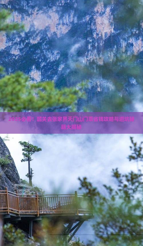 韶关去张家界天门山门票