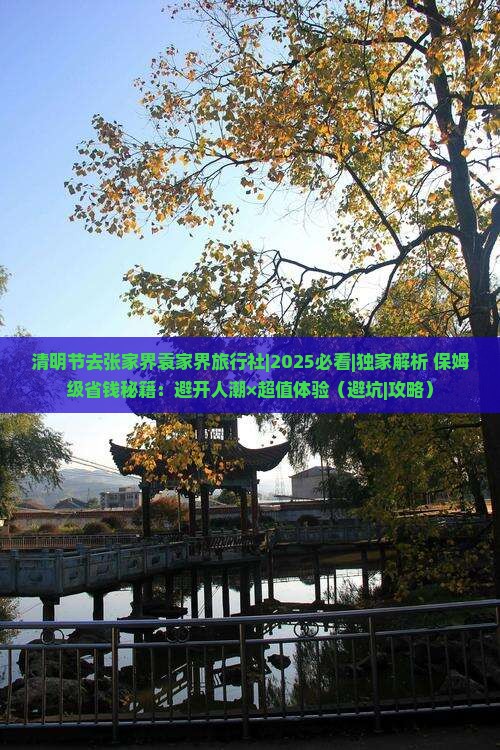 清明节去张家界袁家界旅行社