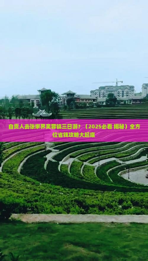 自贡到张家界芙蓉镇三日游