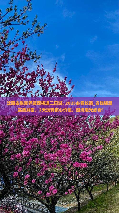 沈阳去张家界玻璃栈道二日游