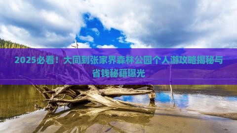 大同到张家界森林公园个人游