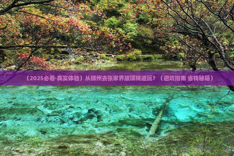 锦州去张家界玻璃栈道哪里玩