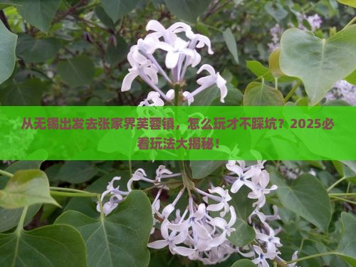 无锡去张家界芙蓉镇哪里玩