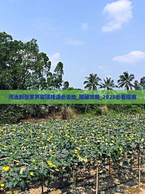河池到张家界玻璃栈道必去地 河池到张家界玻璃栈道必去地
