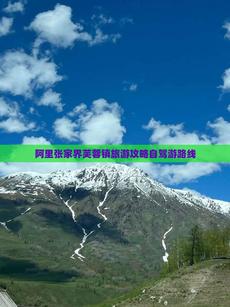 阿里去张家界芙蓉镇个人游
