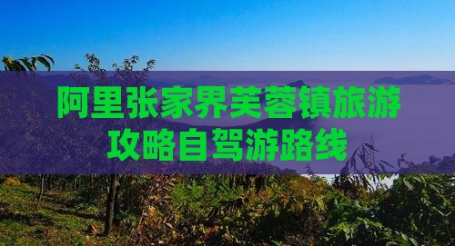 阿里去张家界芙蓉镇个人游